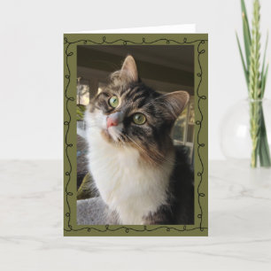 Schöne sibirische Anmerkungs-Karte Karte