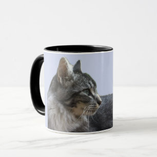 Schöne, sich verjüngende Katze Tasse