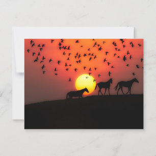 Schöne Silhouette Sonnenuntergang Postkarte