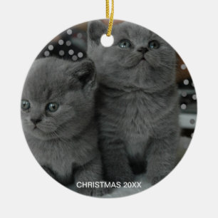 Schöne Silver Gray Kitty Cats & bearbeitbarer Text Keramik Ornament