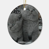 Schöne Silver Gray Kitty Cats & bearbeitbarer Text Keramik Ornament (Links)