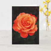 Schöne Single Orange Rose Grußkarte Karte (Gelbe Blume)