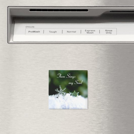 Schöne Singt mein Soul Winter Snowflake Magnet (In Situ (Geschirrspüler))