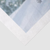 Schöne Snowy Irish Wolfhound-Szene Seidenpapier (Ausschnitt)