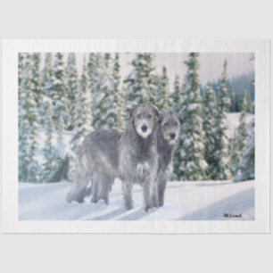 Schöne Snowy Irish Wolfhound-Szene Seidenpapier