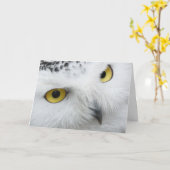 Schöne Snowy Owl Eyes Happy Birthday Card Karte (Gelbe Blume)