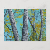 Schöne Sommer Birke Postkarte (Vorderseite)