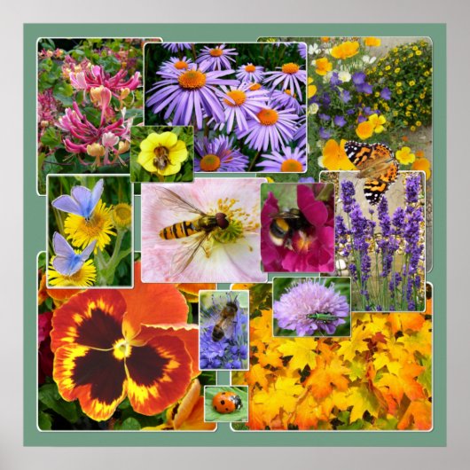 Schöne Sommer-Blume und Insekten-Collage Poster (Vorne)
