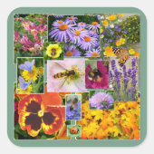 Schöne Sommer-Blume und Insekten-Collage Quadratischer Aufkleber (Vorderseite)