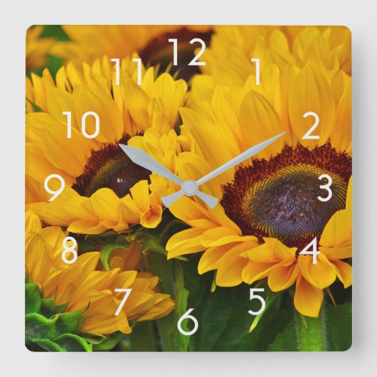 Schöne Sommer Sonnenblumen Maluhr Quadratische Wanduhr (Vorderseite)