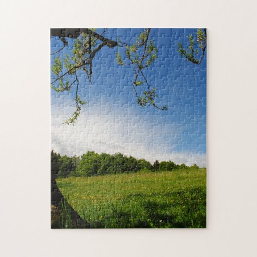 Schöne Sommerlandschaft Alp Wiese Puzzle (Vertikal)