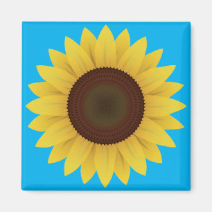 Schöne Sommersonnenblume Magnet