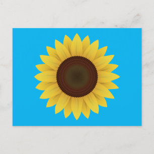 Schöne Sommersonnenblume Postkarte