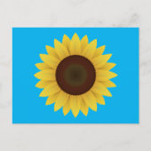 Schöne Sommersonnenblume Postkarte (Vorderseite)