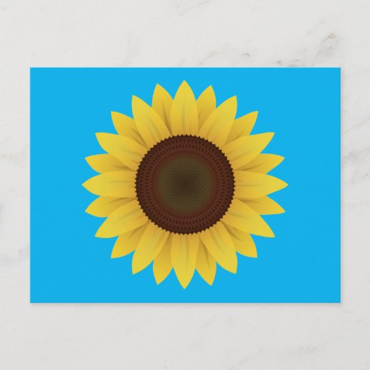 Schöne Sommersonnenblume Postkarte (Vorderseite)