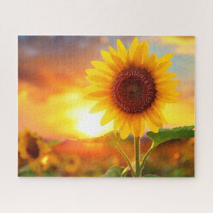 schöne Sonnenblume bei Sonnenuntergang Puzzle
