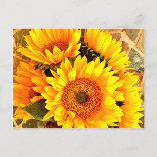 Schöne Sonnenblume Bouquet Geschenke Postkarte