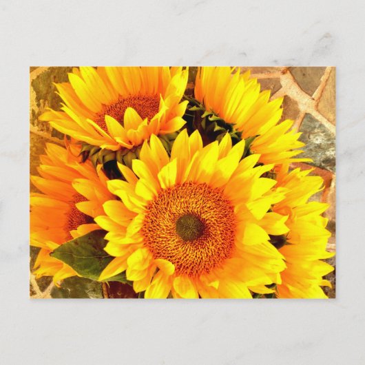 Schöne Sonnenblume Bouquet Geschenke Postkarte (Vorderseite)