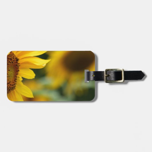 Schöne Sonnenblume Gepäckanhänger (Vorderseite horizontal)