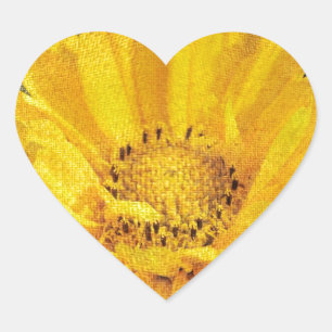 Schöne Sonnenblume mit dunkelbraunem Hintergrund Herz-Aufkleber