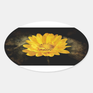 Schöne Sonnenblume mit dunkelbraunem Hintergrund Ovaler Aufkleber