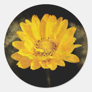 Schöne Sonnenblume mit dunkelbraunem Hintergrund Runder Aufkleber