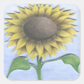 Schöne Sonnenblume Quadratischer Aufkleber (Vorderseite)