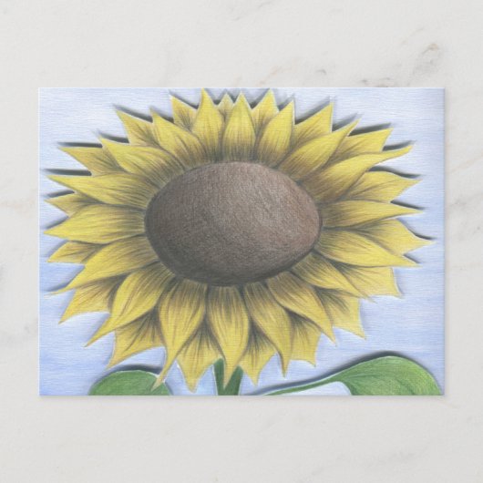 Schöne Sonnenblume Zeichnend Postkarte (Vorderseite)