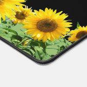 Schöne Sonnenblumen auf schwarz Schreibtischunterlage (Ecke)
