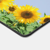 Schöne Sonnenblumen auf Sky Blue Schreibtischunterlage (Ecke)