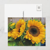 Schöne Sonnenblumen Postkarte (Vorne/Hinten)
