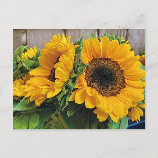 Schöne Sonnenblumen Postkarte (Vorderseite)