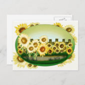Schöne Sonnenblumen Postkarte (Vorne/Hinten)