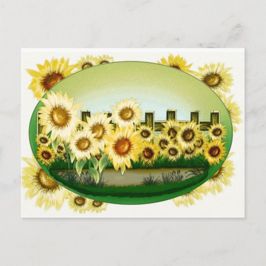 Schöne Sonnenblumen Postkarte (Vorderseite)