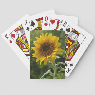 Schöne Sonnenblumenspielkarten Spielkarten
