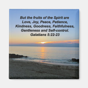 SCHÖNE SONNENFRÜCHTE DES SPIRITUELLEN MAGNET