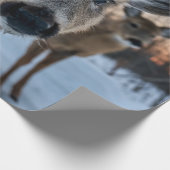 SCHÖNE SONNENGESCHICHTE MIT WILDIGEM LEBEN GESCHENKPAPIER (Ecke)