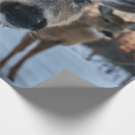 SCHÖNE SONNENGESCHICHTE MIT WILDIGEM LEBEN GESCHENKPAPIER (Ecke)