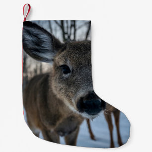 SCHÖNE SONNENGESCHICHTE MIT WILDIGEM LEBEN KLEINER WEIHNACHTSSTRUMPF