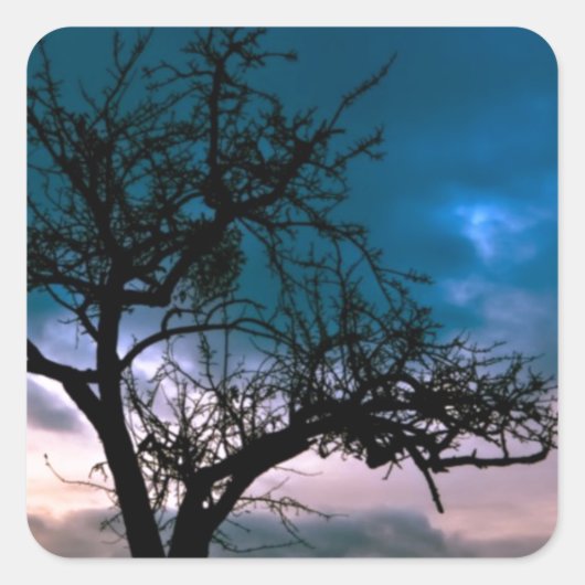 Schöne Sonnenuntergang Landschaftliche Landschaft Quadratischer Aufkleber (Vorderseite)