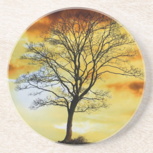 Schöne Sonnenuntergang Landschaftliche Landschaft  Sandstein Untersetzer