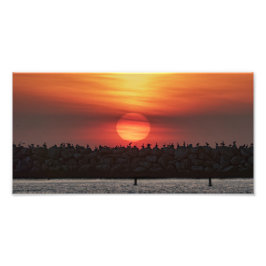 Schöne Sonnenuntergangsfarben - Marina Del Rey, CA Fotodruck