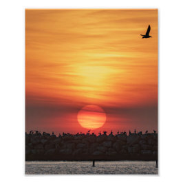 Schöne Sonnenuntergangsfarben - Marina Del Rey, CA Fotodruck