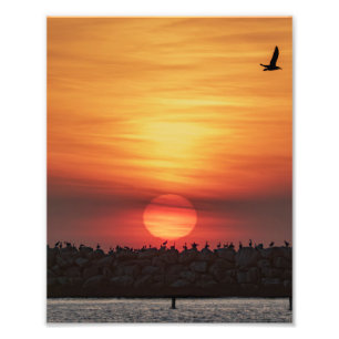 Schöne Sonnenuntergangsfarben - Marina Del Rey, CA Fotodruck