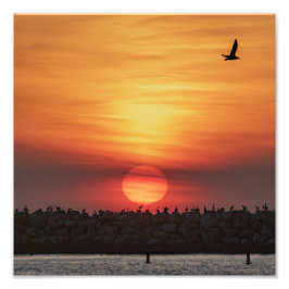 Schöne Sonnenuntergangsfarben - Marina Del Rey, CA Fotodruck