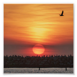 Schöne Sonnenuntergangsfarben - Marina Del Rey, CA Fotodruck
