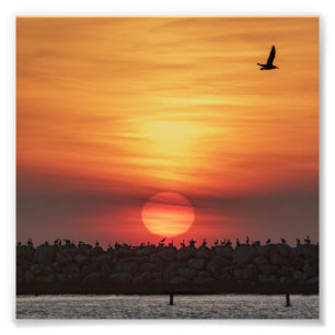 Schöne Sonnenuntergangsfarben - Marina Del Rey, CA Fotodruck