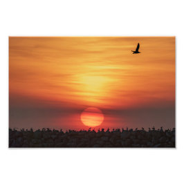 Schöne Sonnenuntergangsfarben - Marina Del Rey, CA Fotodruck