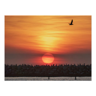 Schöne Sonnenuntergangsfarben - Marina Del Rey, CA Fotodruck