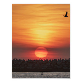 Schöne Sonnenuntergangsfarben - Marina Del Rey, CA Fotodruck